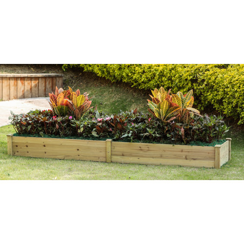 Union Rustic Jerold 8 ft x 2 ft Wood Raised Garden Bed & Reviews Wayfair